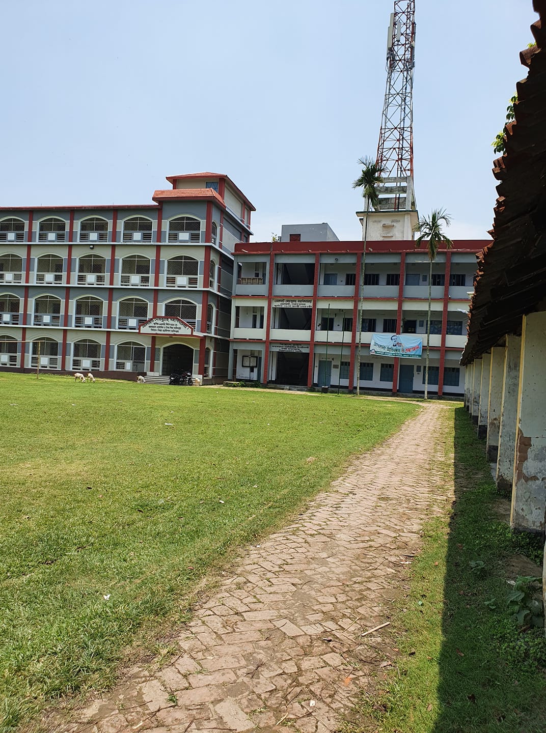 কলেজ ছবি